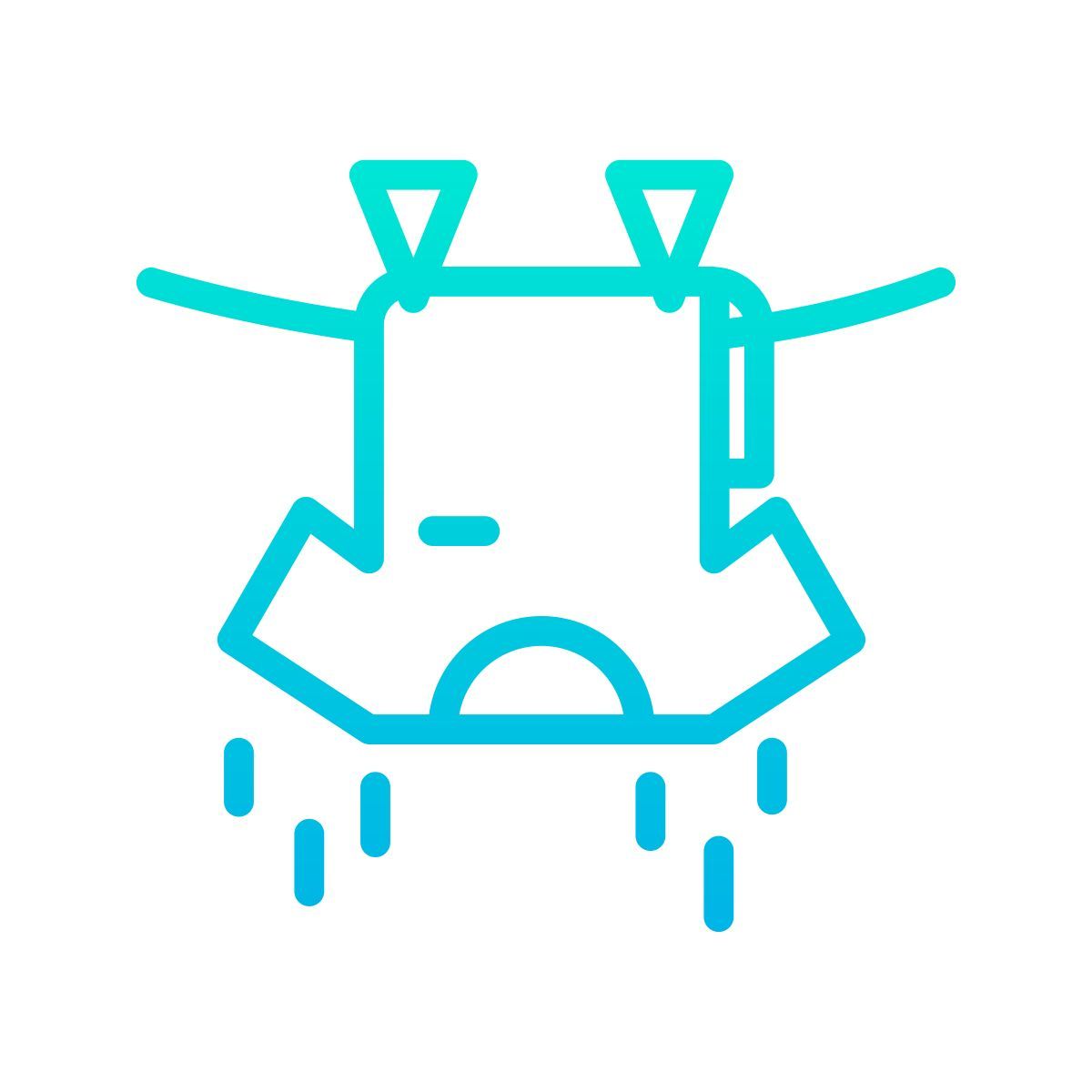 lavanderia icon