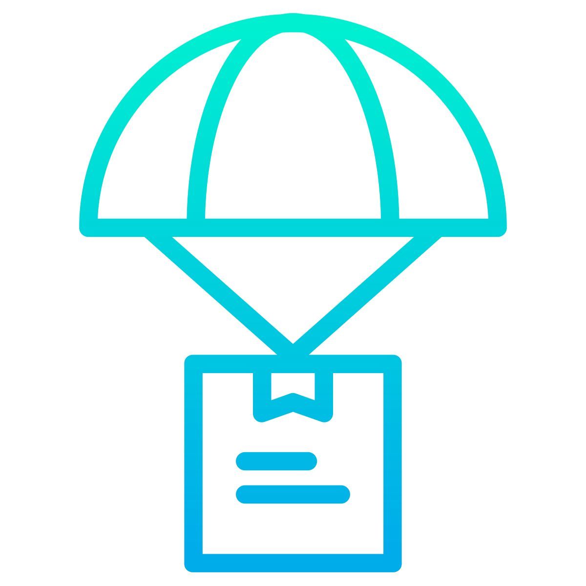 delivery icon
