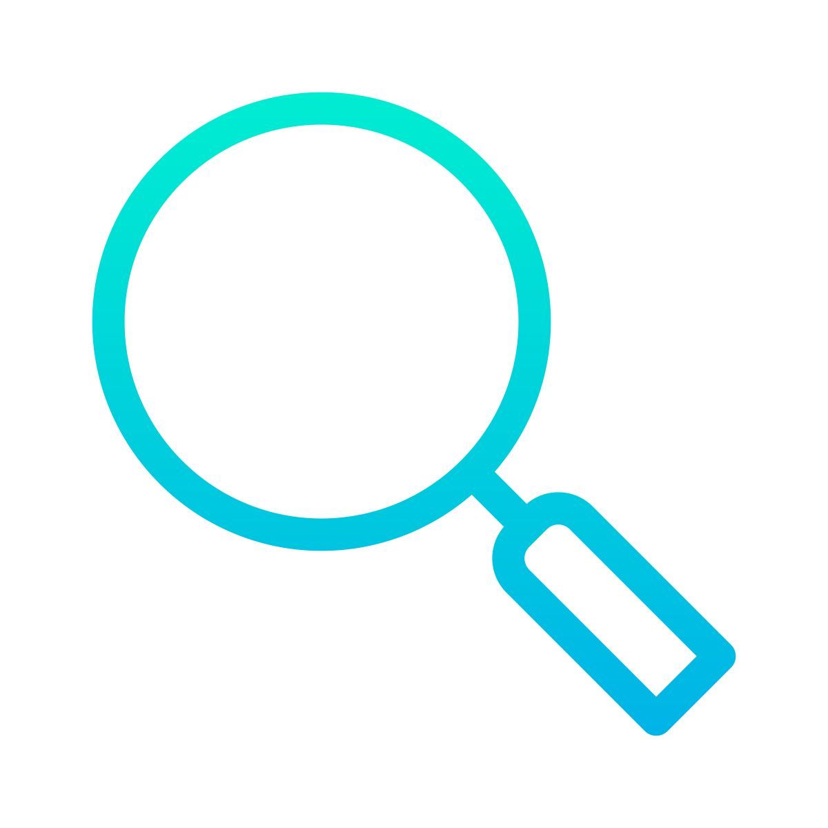 magnifying glass icon
