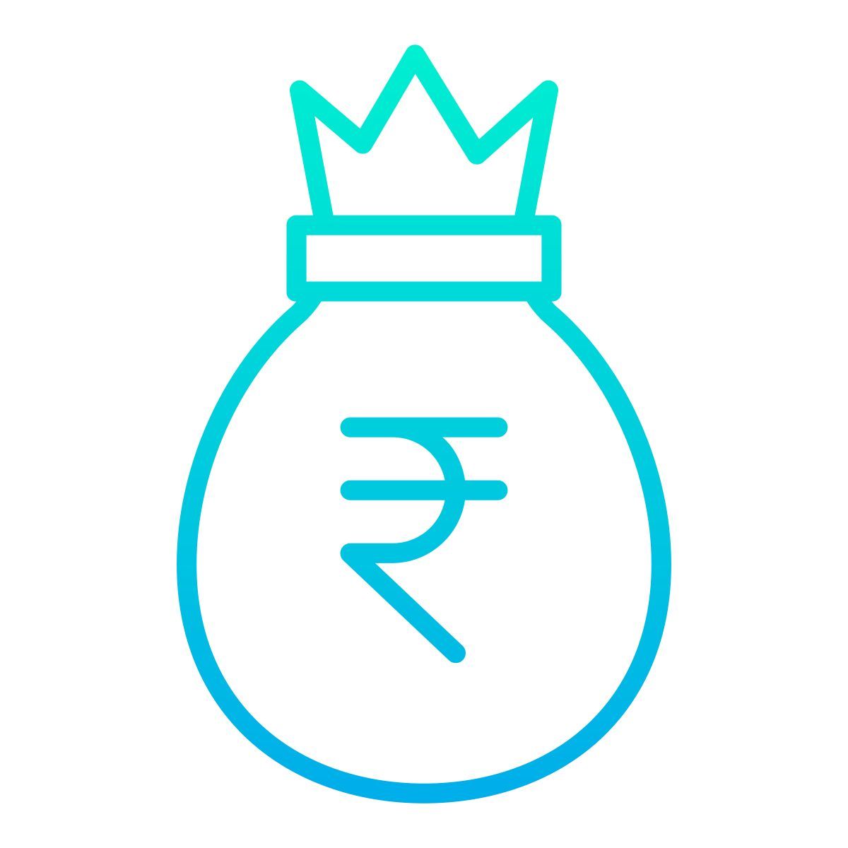 money bag icon