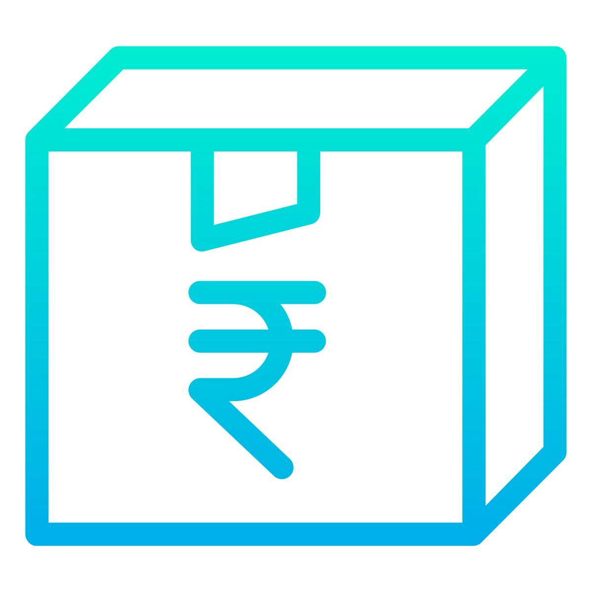package icon