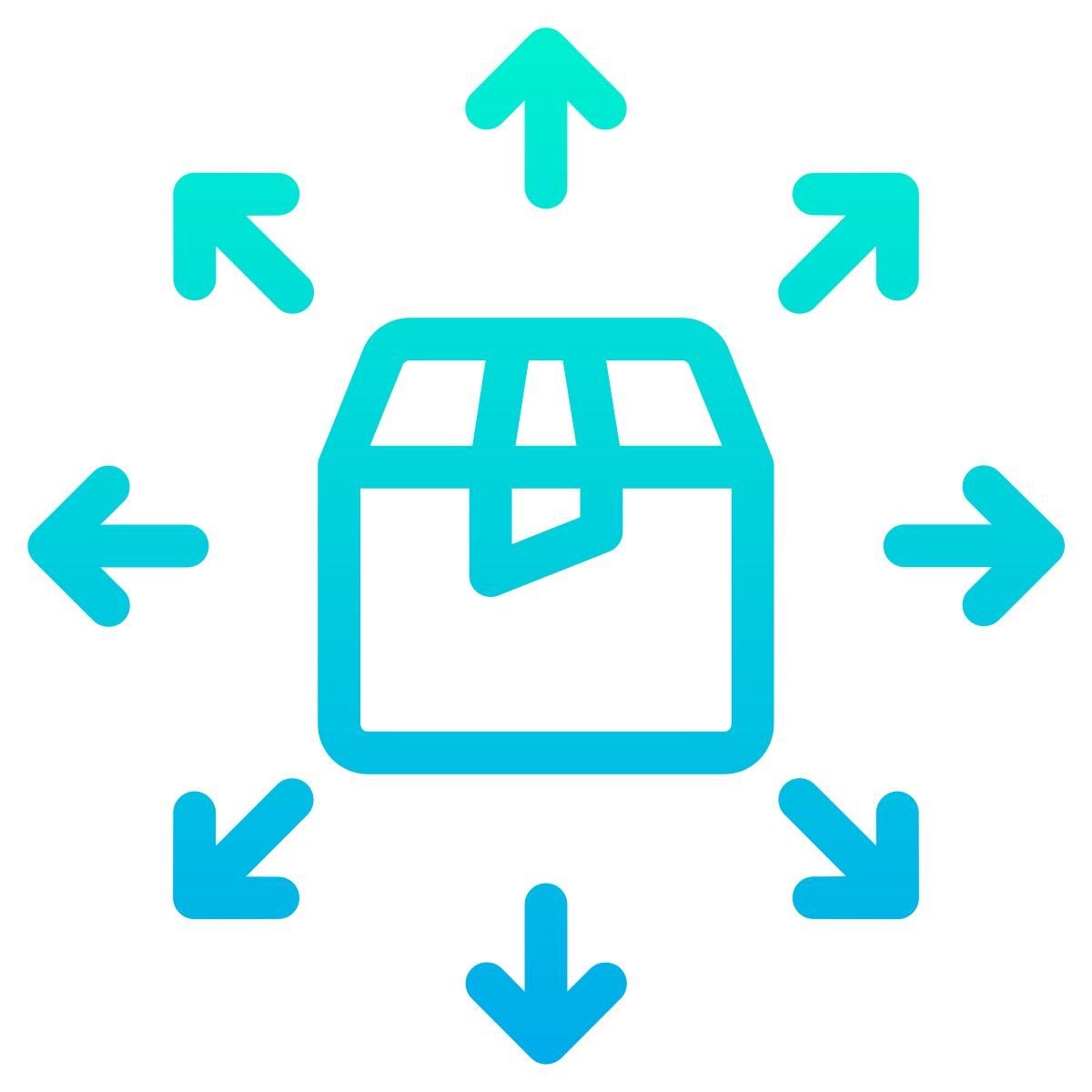 package icon