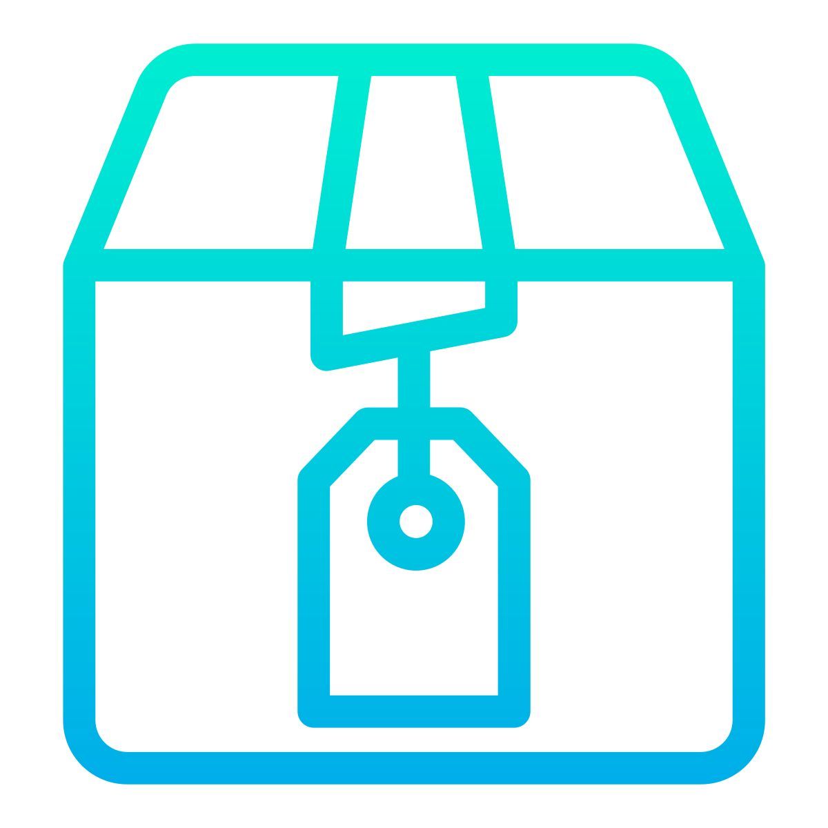 package icon