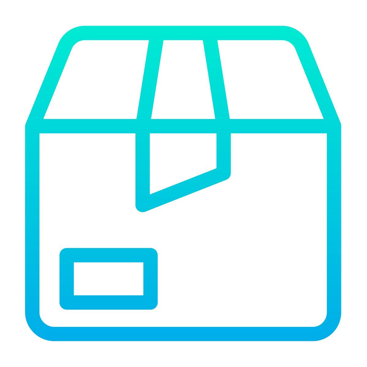 package icon