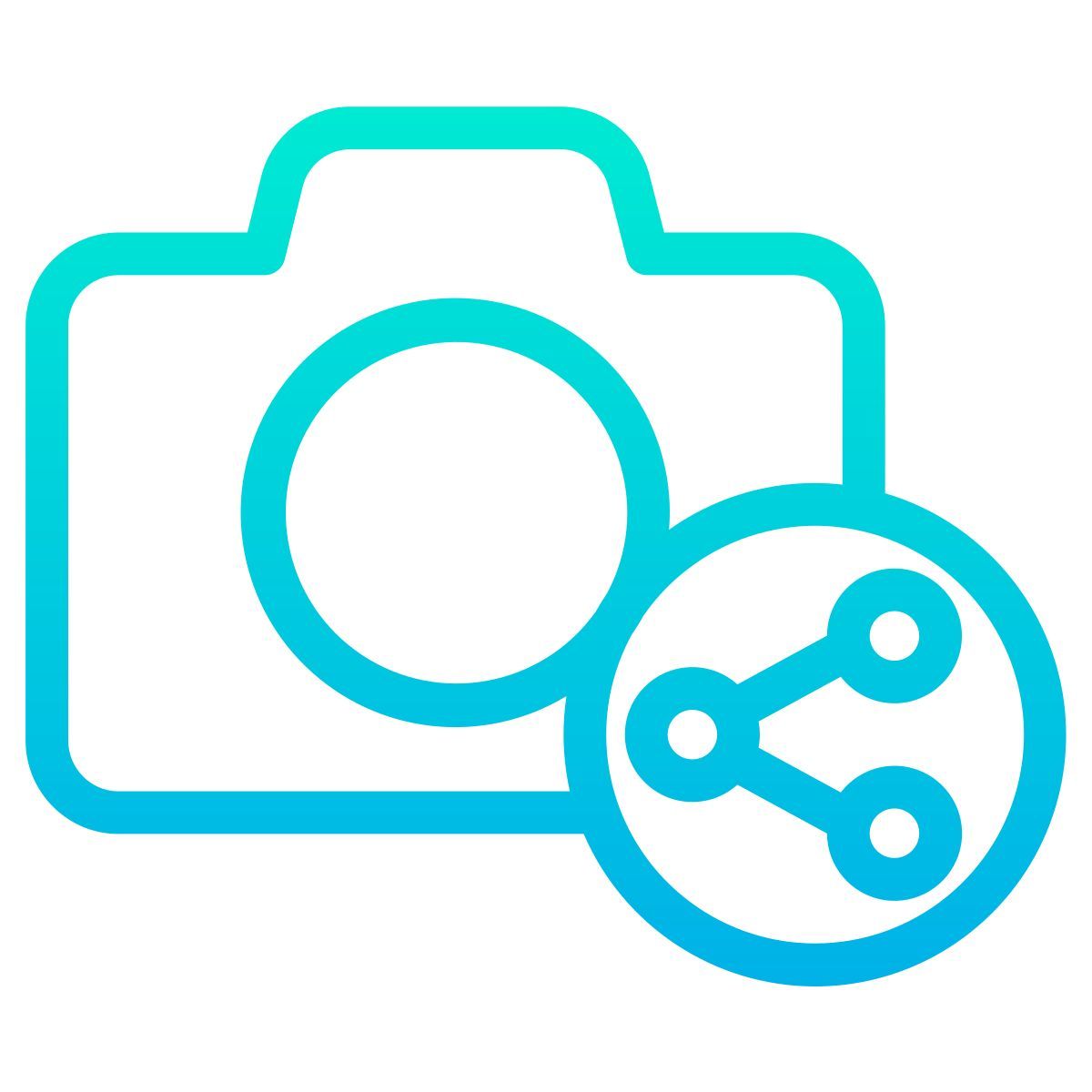 camera share icon