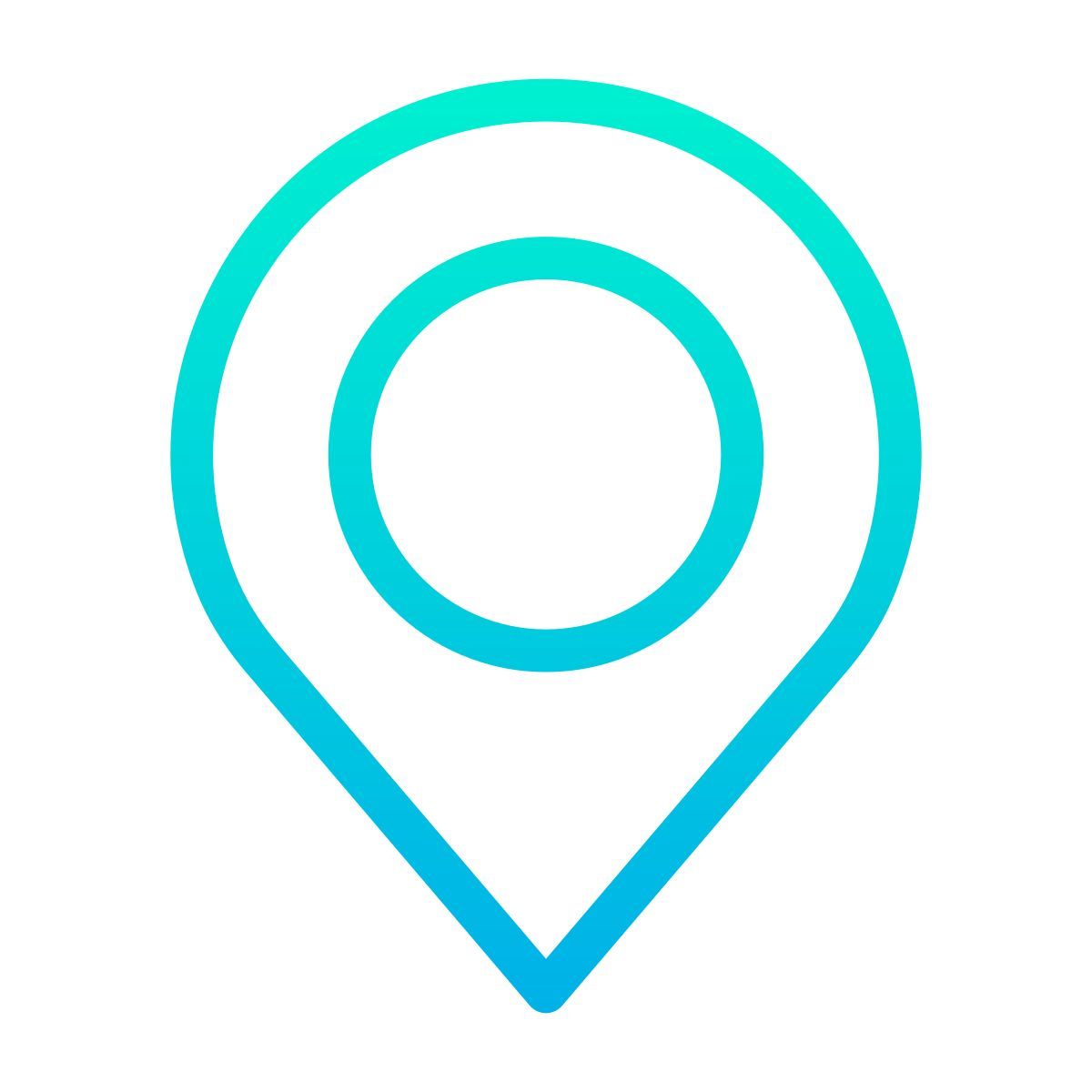 pin icon