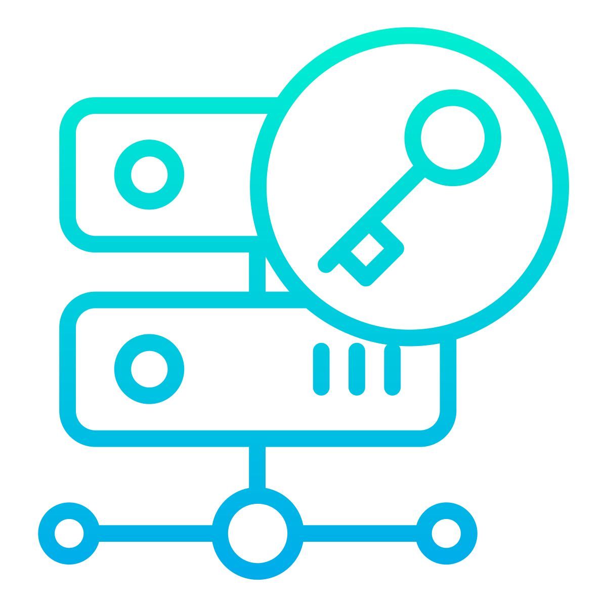 server icon