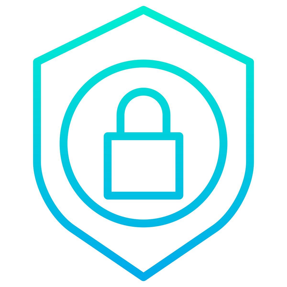 shield icon