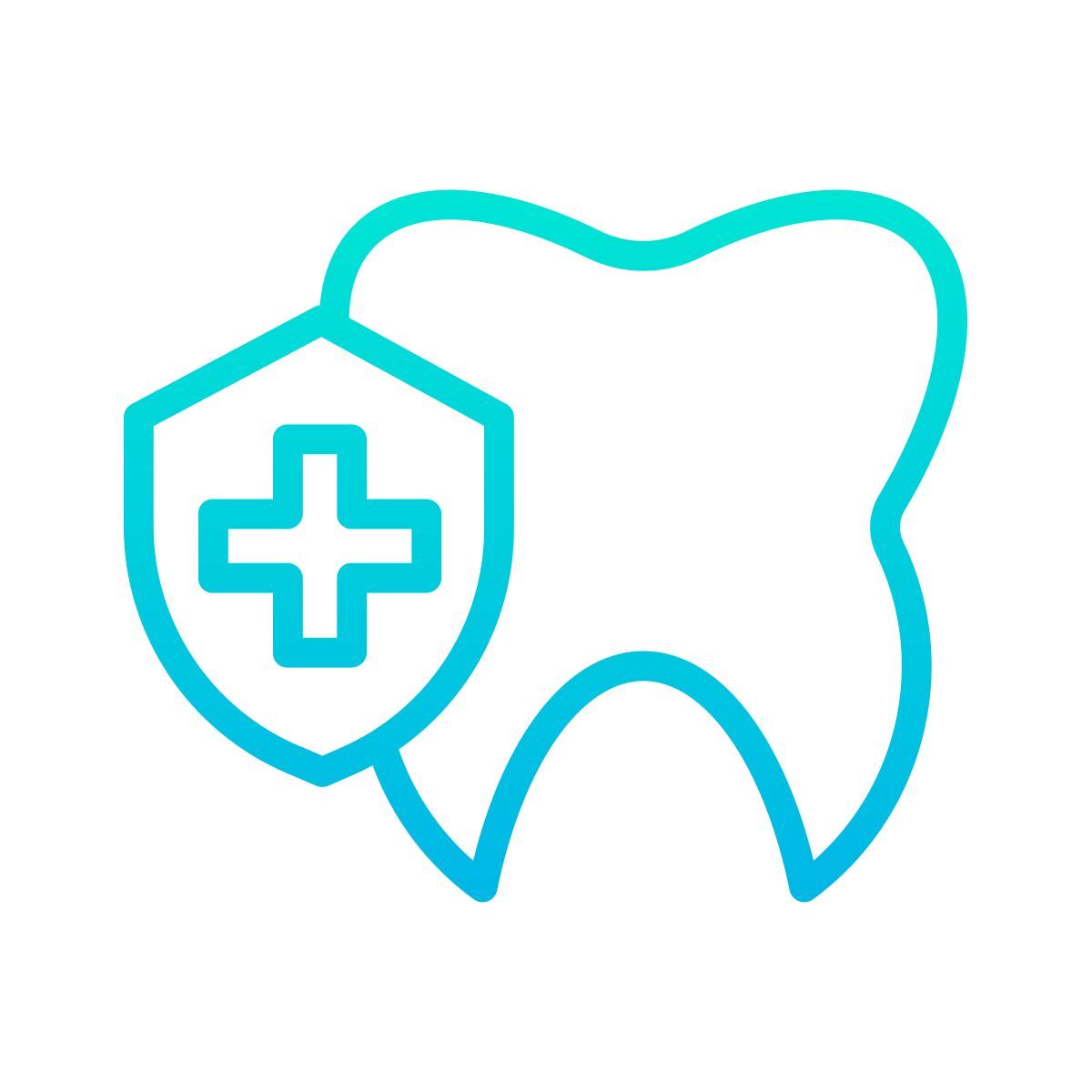 shield icon
