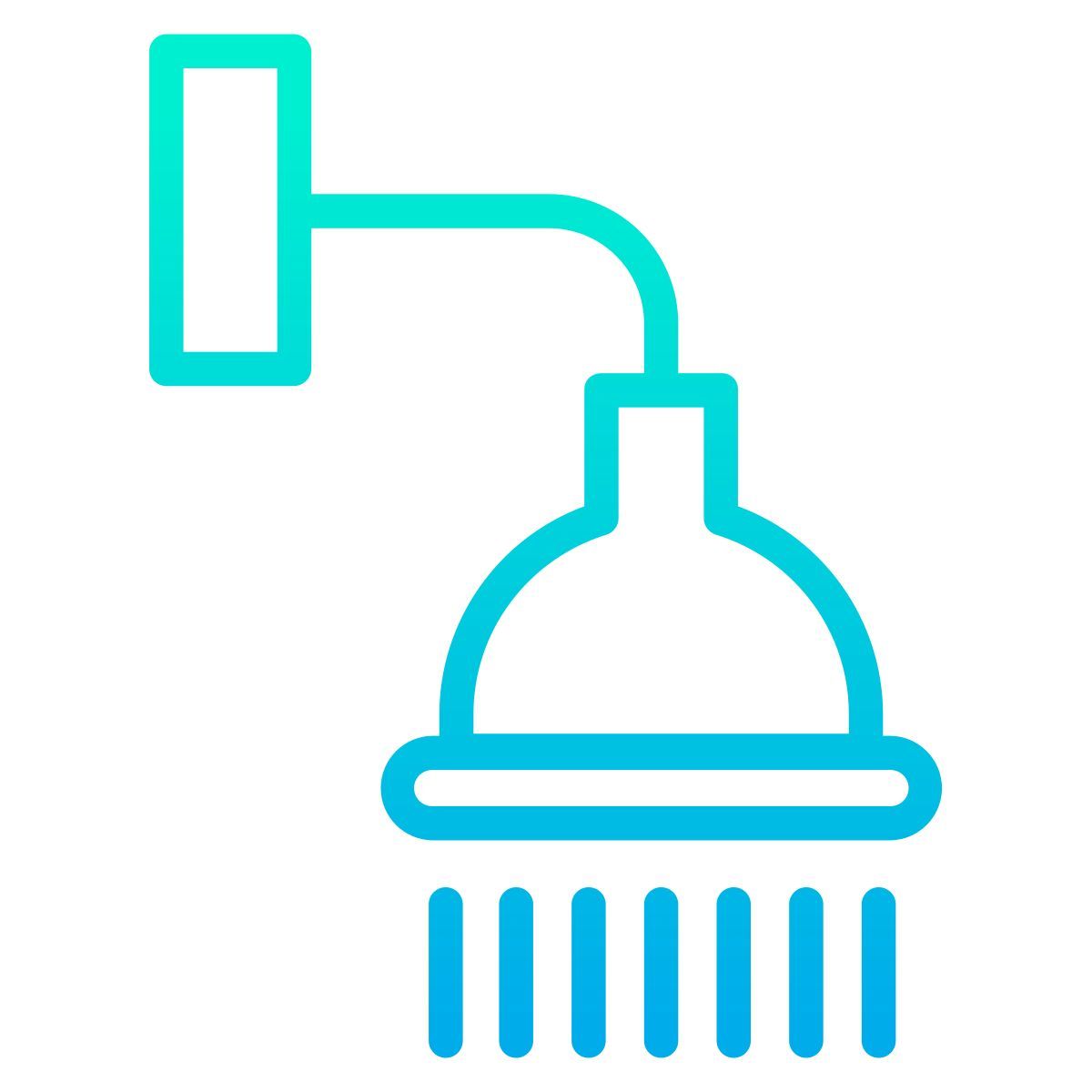 douche icon