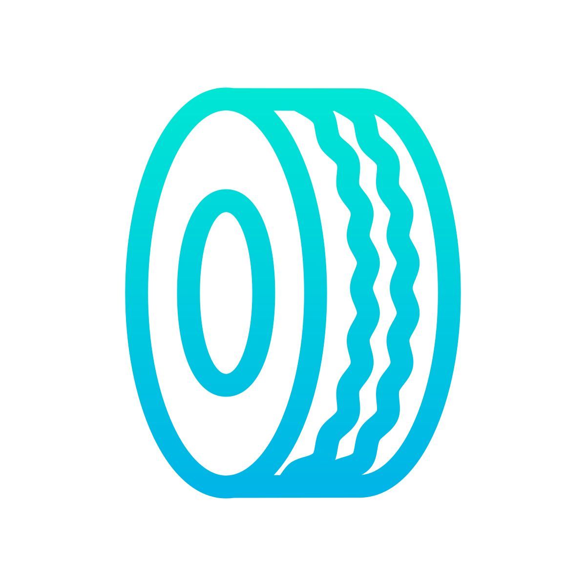 tyre icon