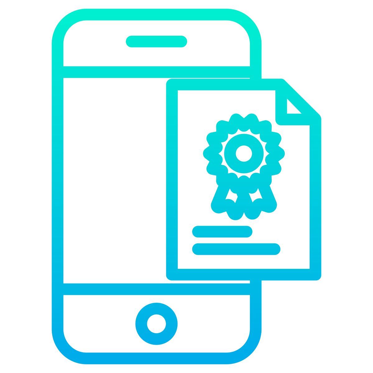 certificate icon