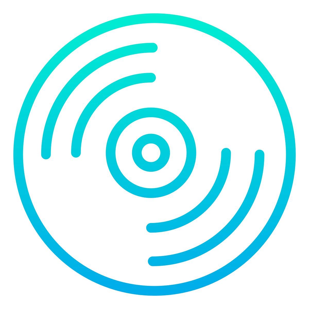 vinil icon