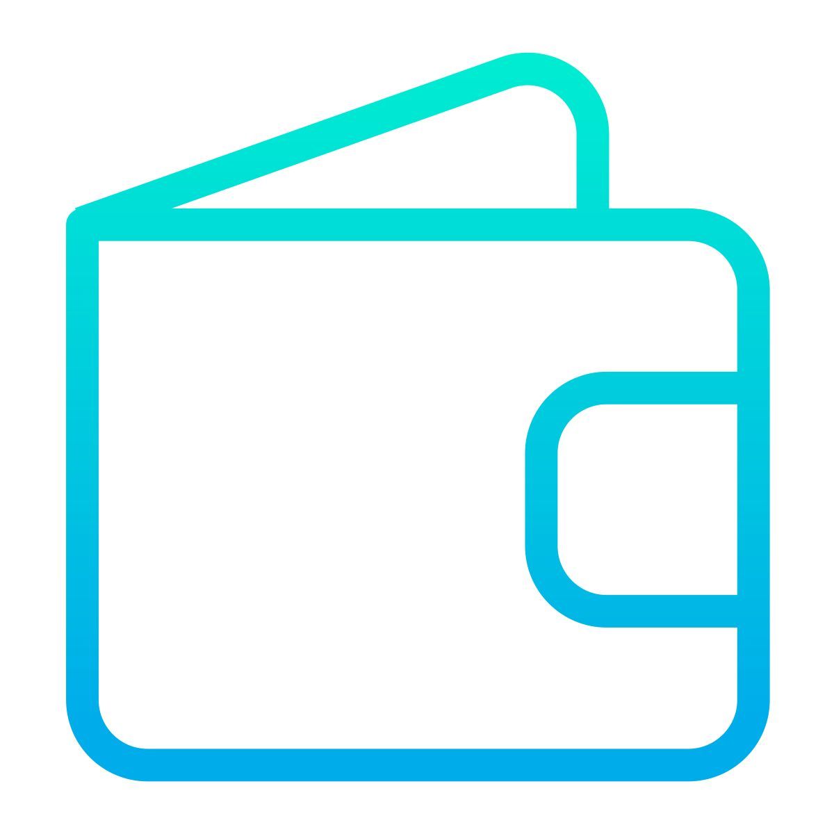 wallet icon