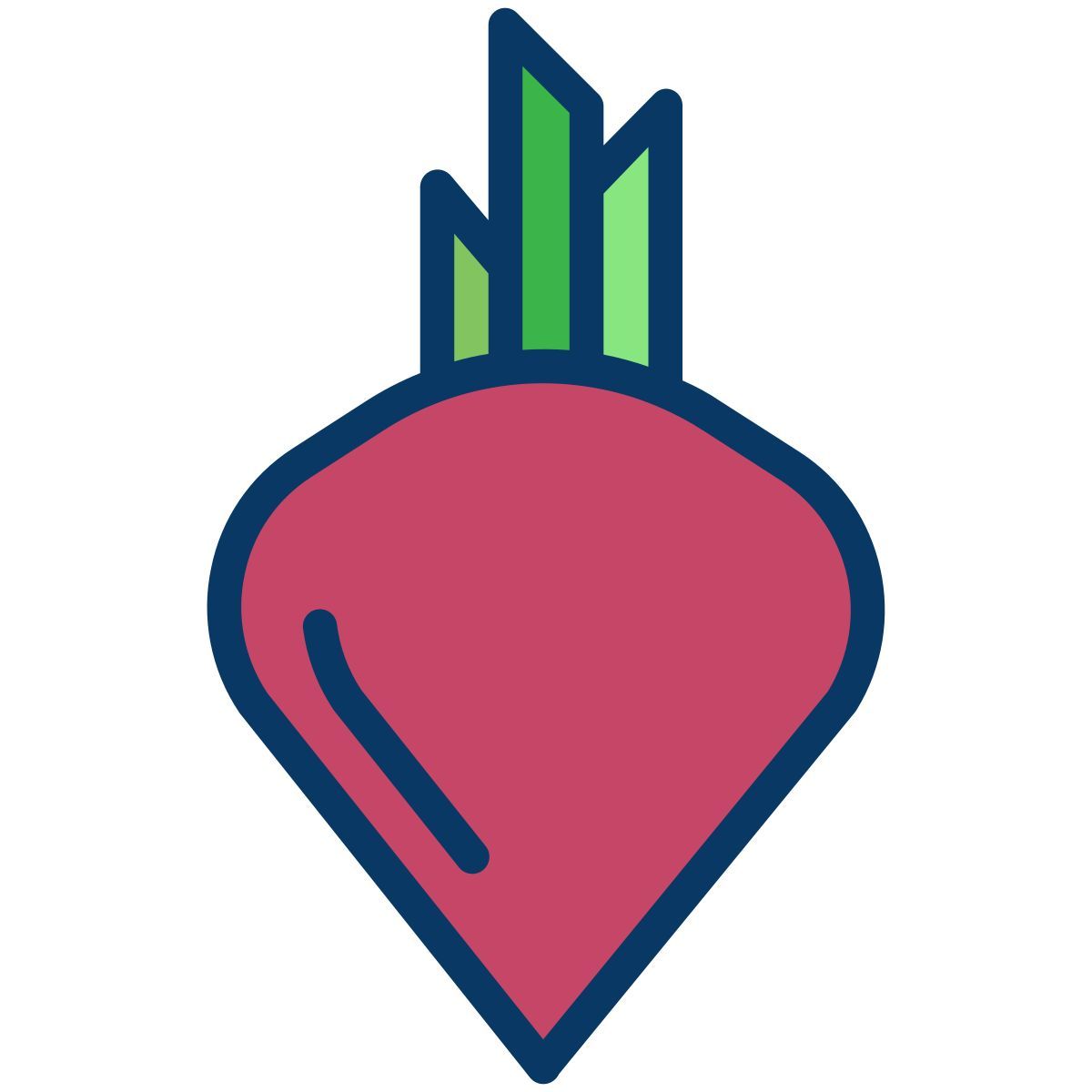 beet icon