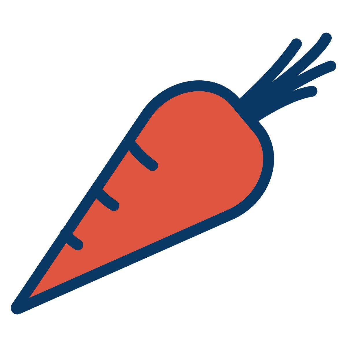 carrot icon
