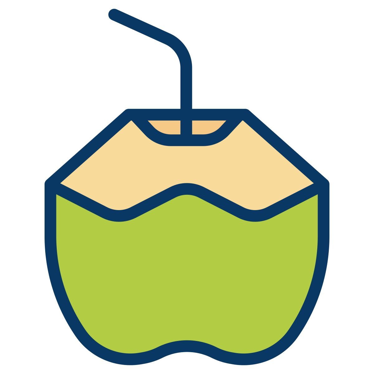 coconut drink icon