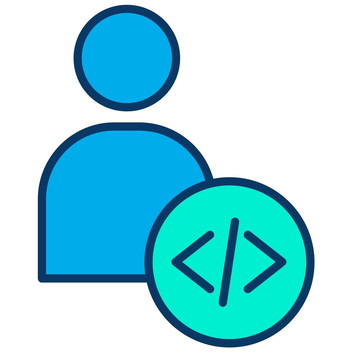 developer icon