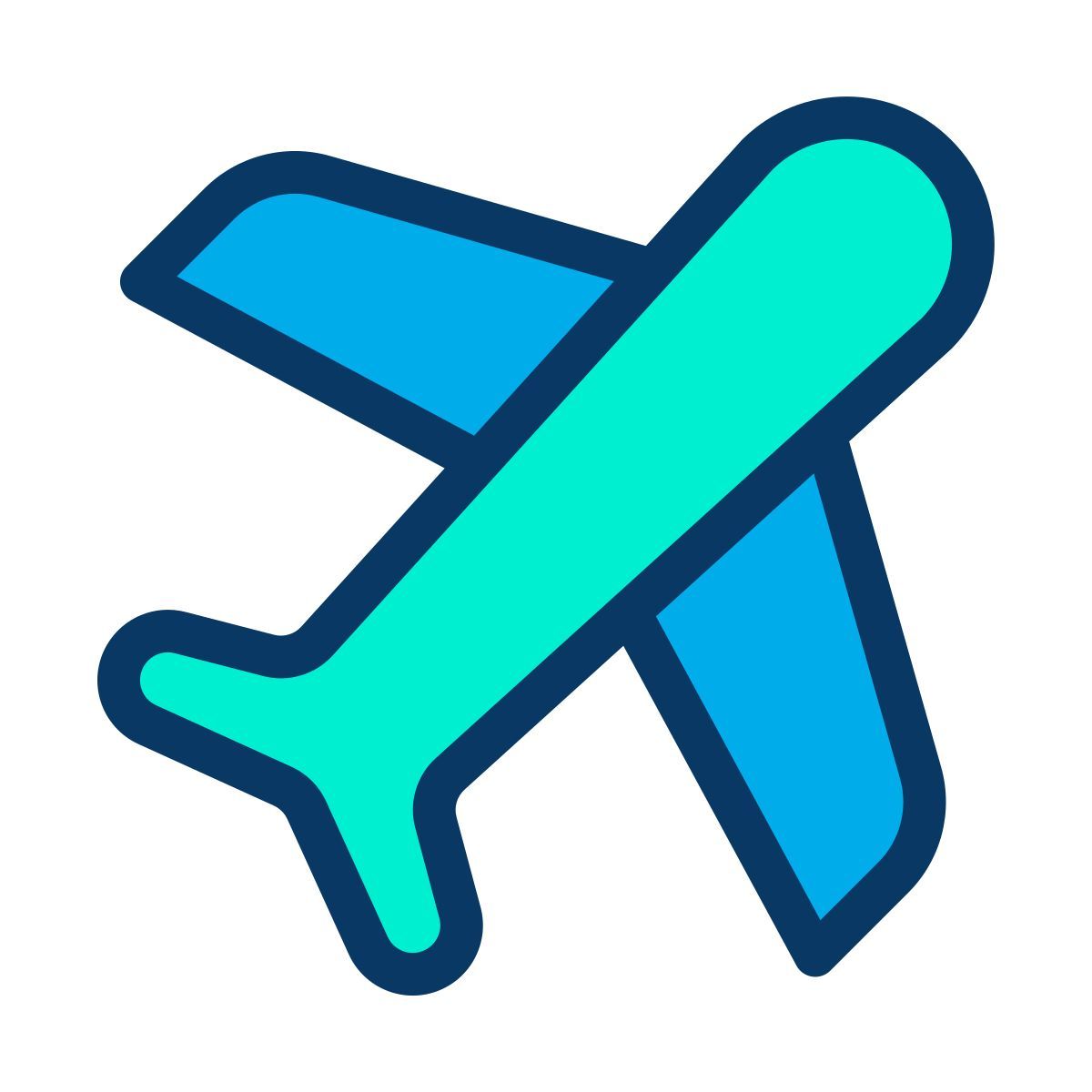 flight icon