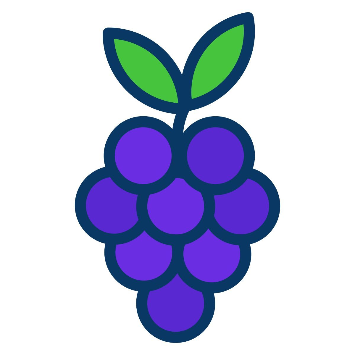 grapes icon