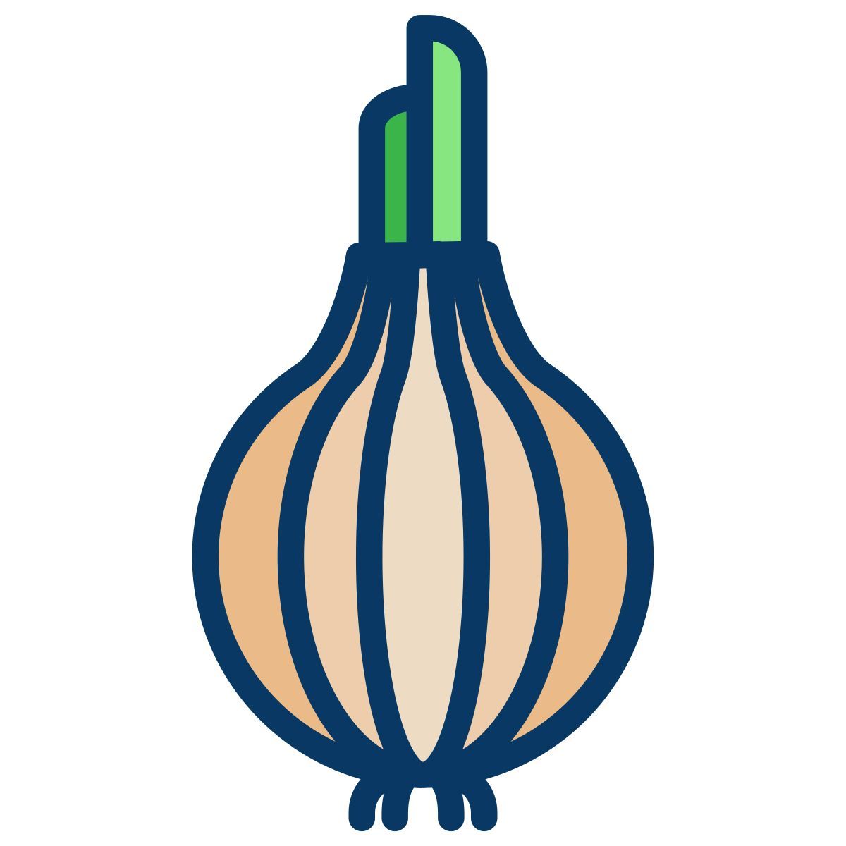 onion icon