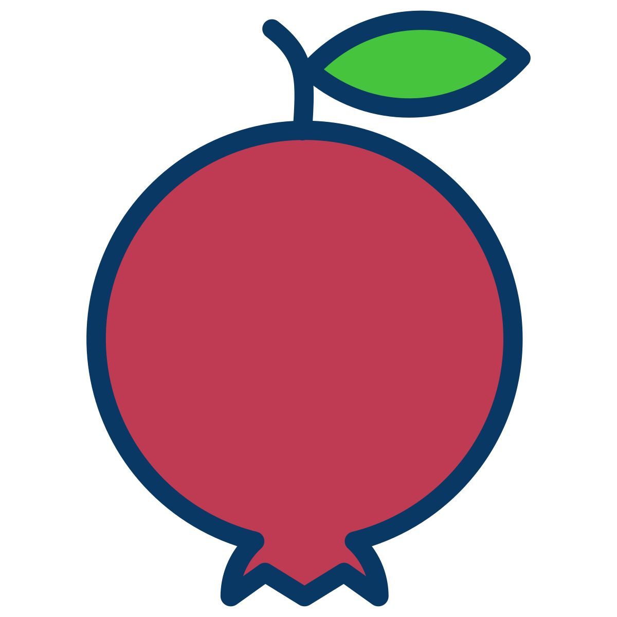 pomegranate icon