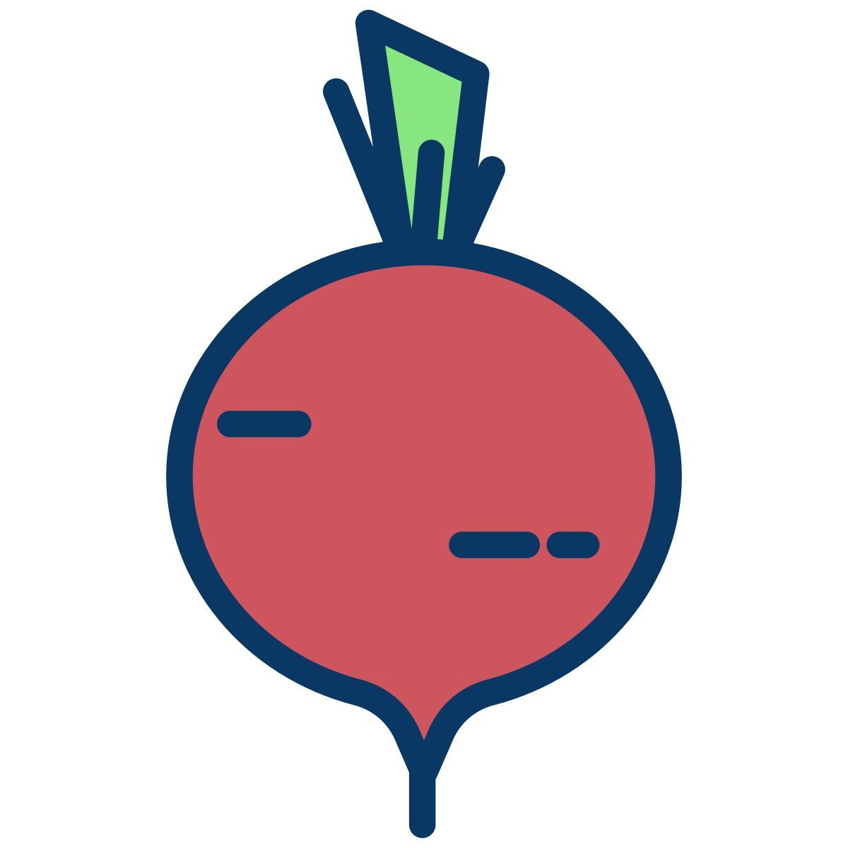 radish icon