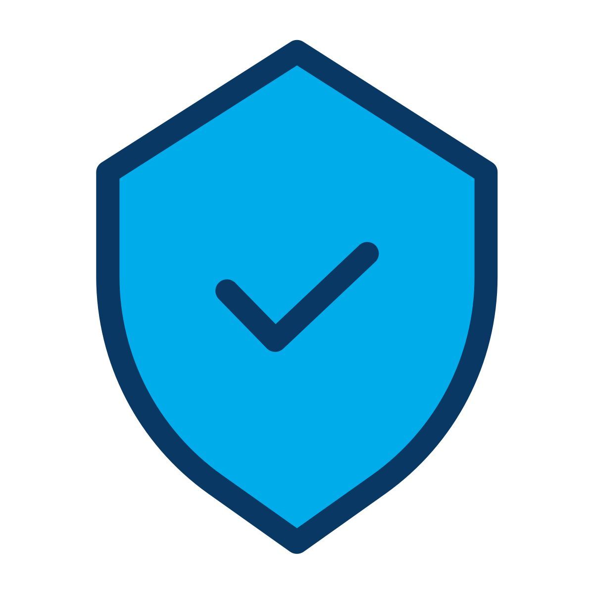 shield icon