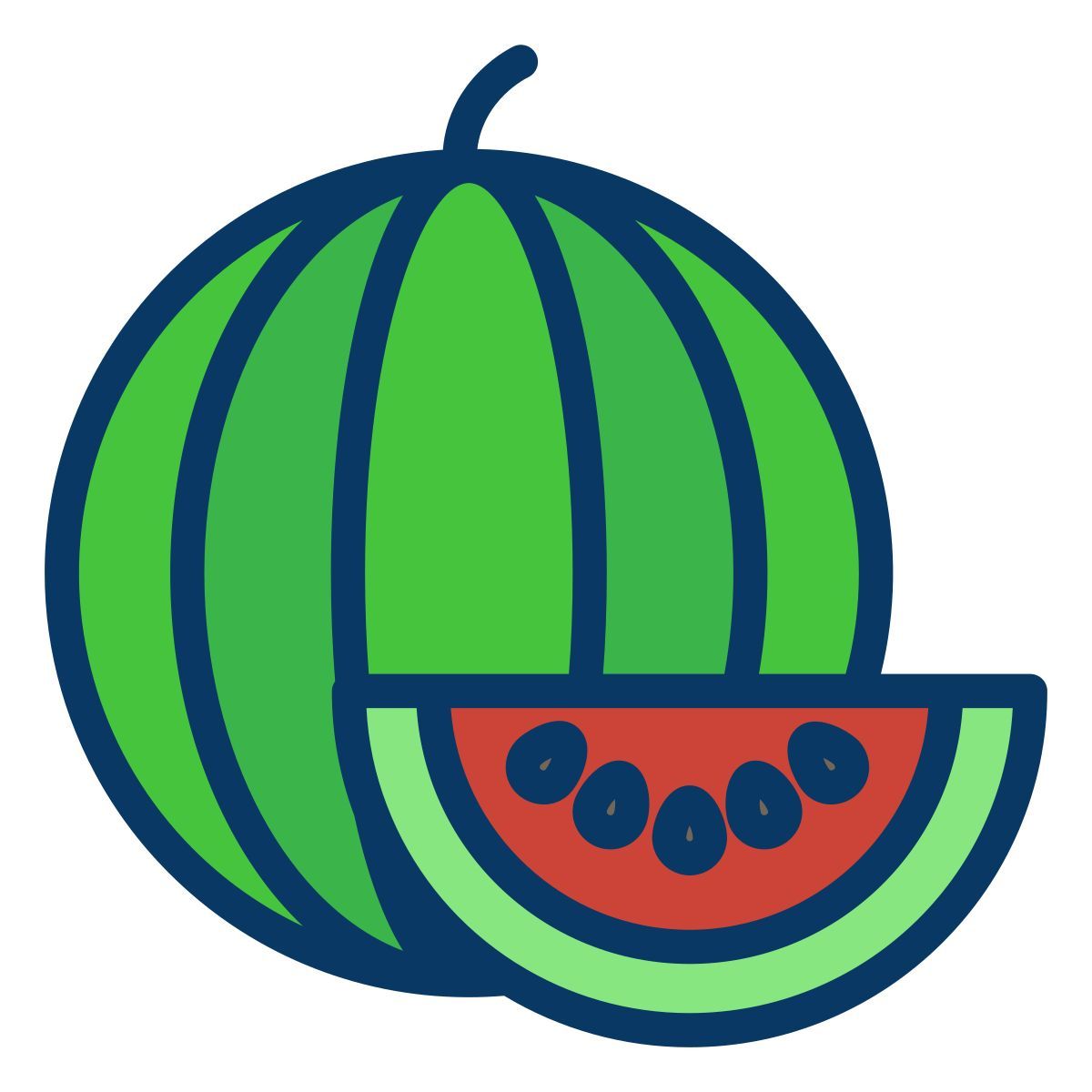 watermelon icon