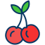 external cherry-fruits-and-vegetables-kiranshastry-lineal-color-kiranshastry icon