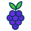 external grapes-fruits-and-vegetables-kiranshastry-lineal-color-kiranshastry icon