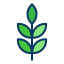external leaf-agriculture-and-farmer-kiranshastry-lineal-color-kiranshastry icon