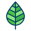 external leaf-outdoor-kiranshastry-lineal-color-kiranshastry icon