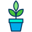external plant-park-kiranshastry-lineal-color-kiranshastry icon