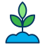external sprout-cultivation-kiranshastry-lineal-color-kiranshastry icon