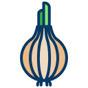 external onion-fruits-and-vegetables-kiranshastry-lineal-color-kiranshastry icon