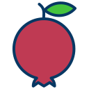 external pomegranate-fruits-and-vegetables-kiranshastry-lineal-color-kiranshastry icon