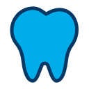 external tooth-medical-kiranshastry-lineal-color-kiranshastry icon