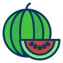 external watermelon-fruits-and-vegetables-kiranshastry-lineal-color-kiranshastry icon