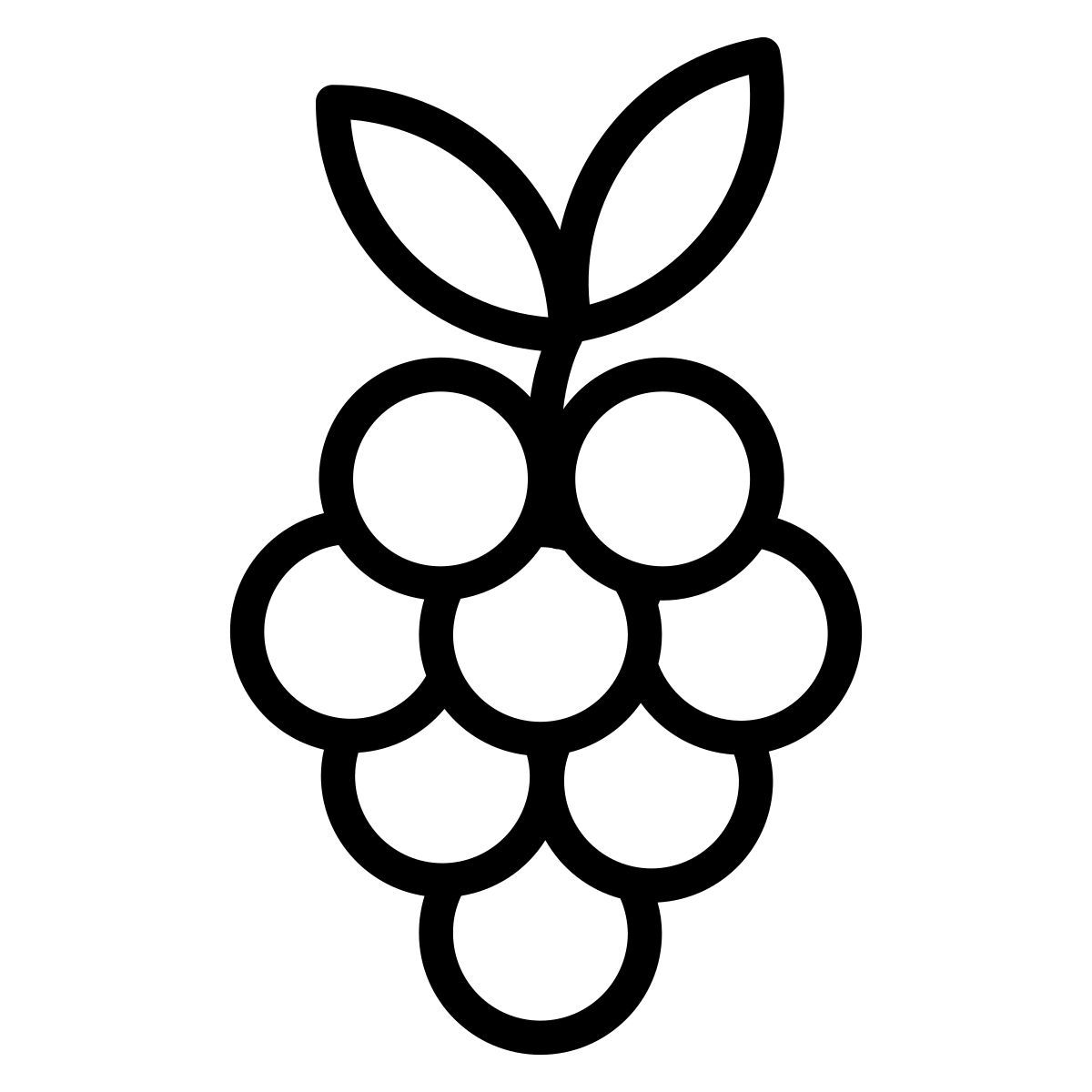 grapes icon