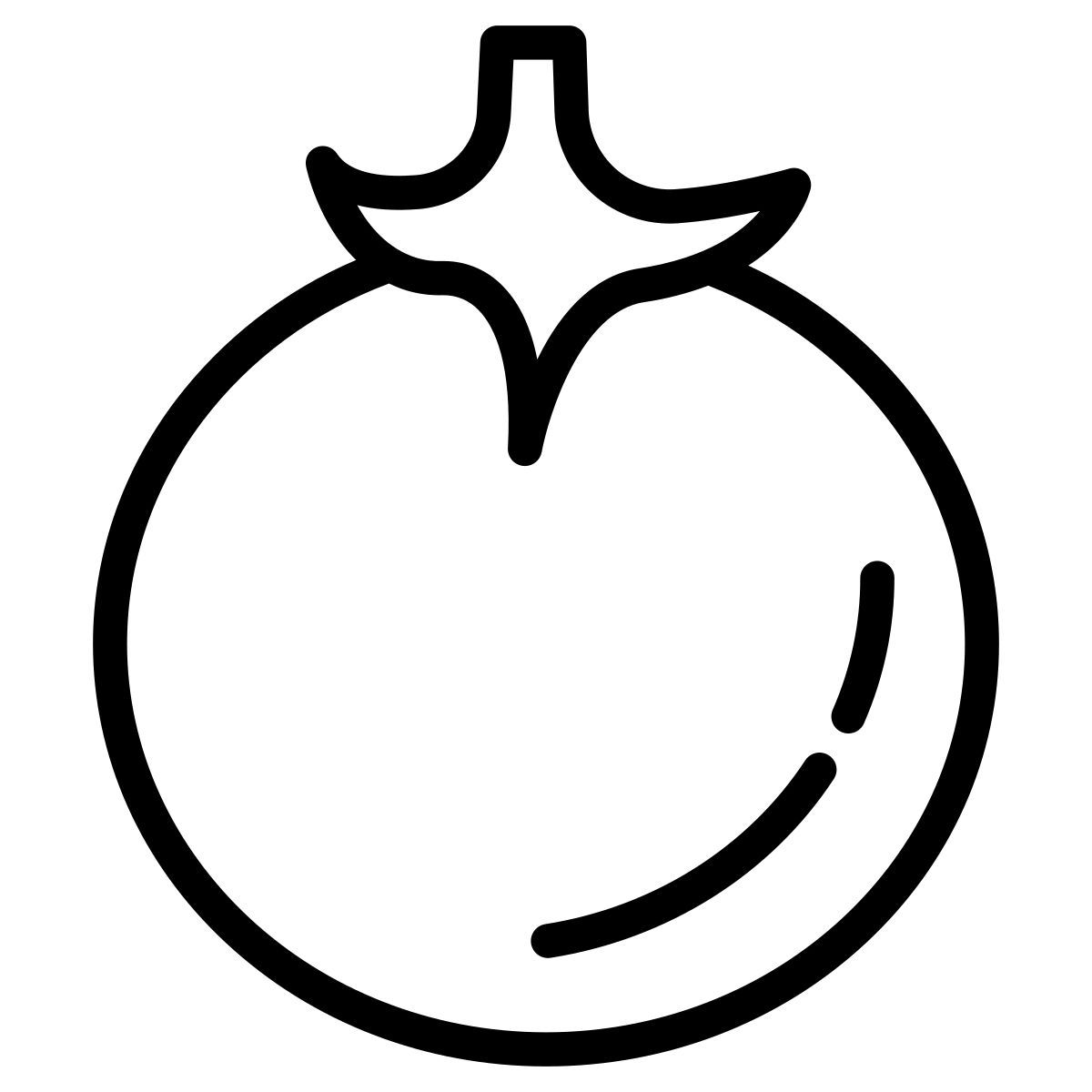 tomato icon