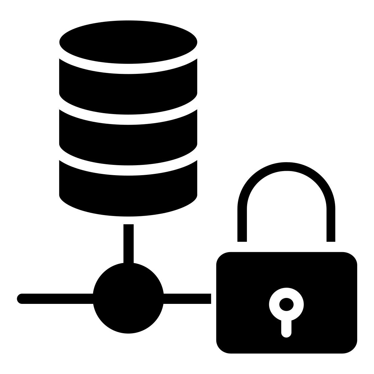 sichere datenbank icon