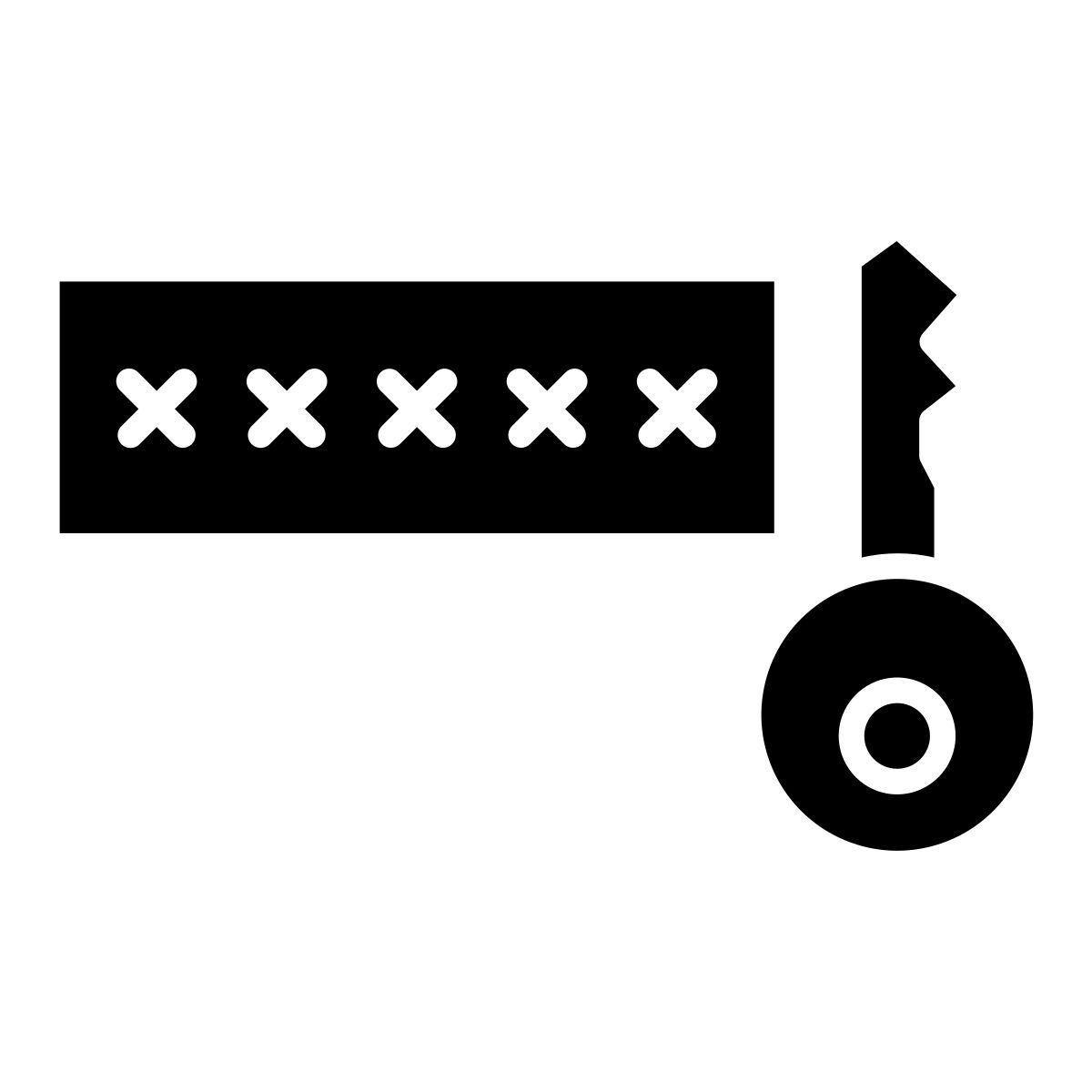 password icon