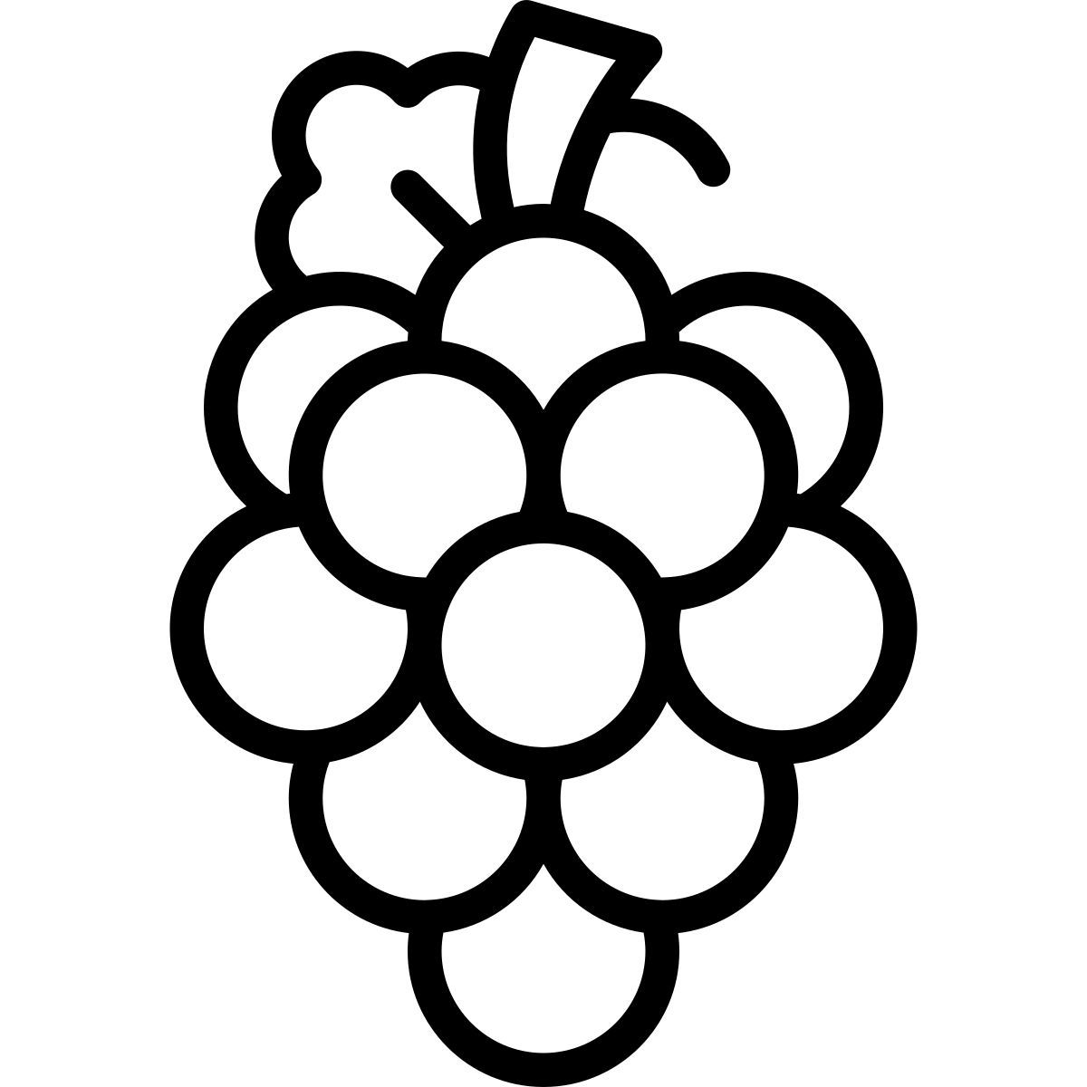grapes icon