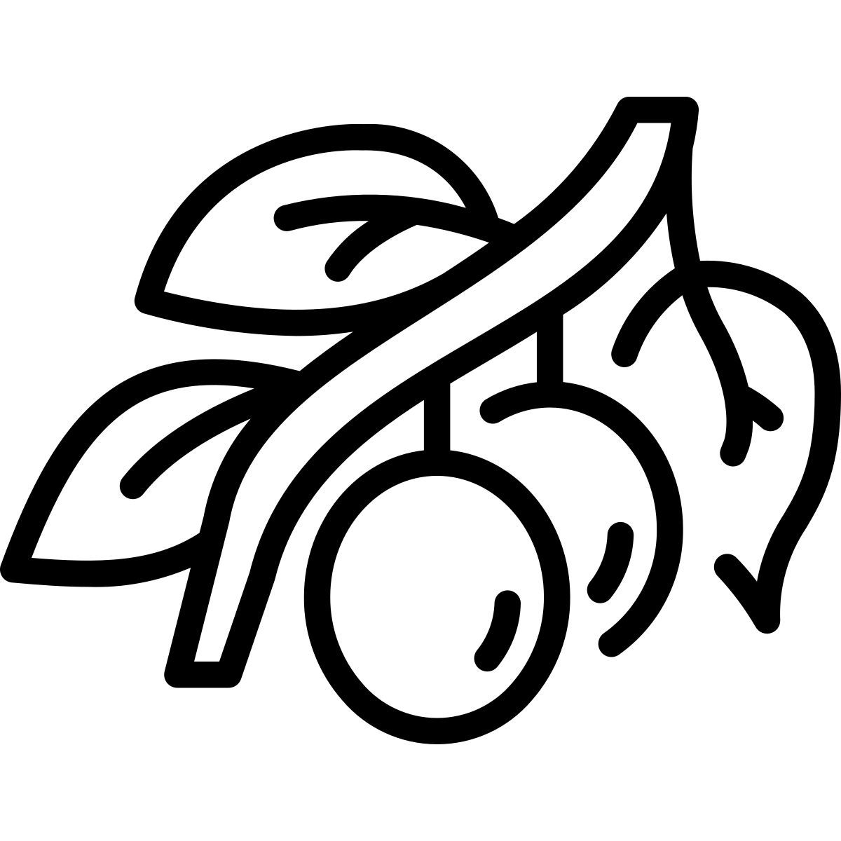 olive icon