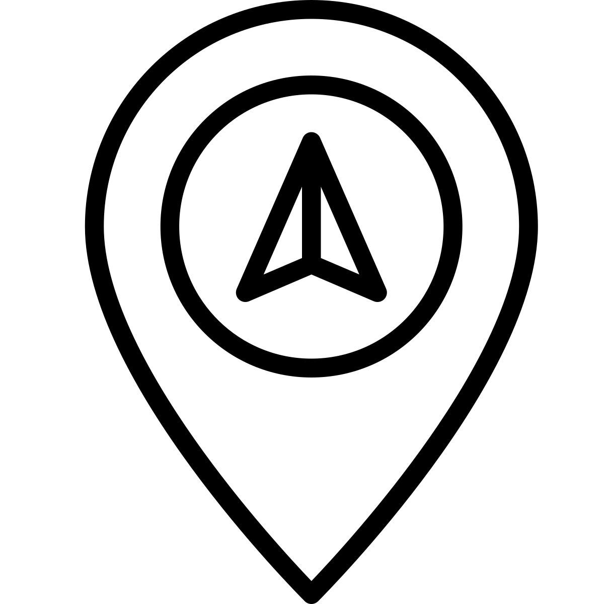 pin icon
