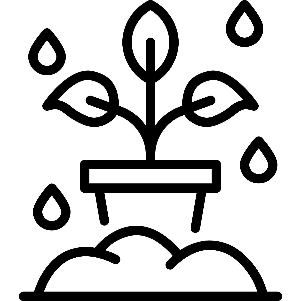 plant icon