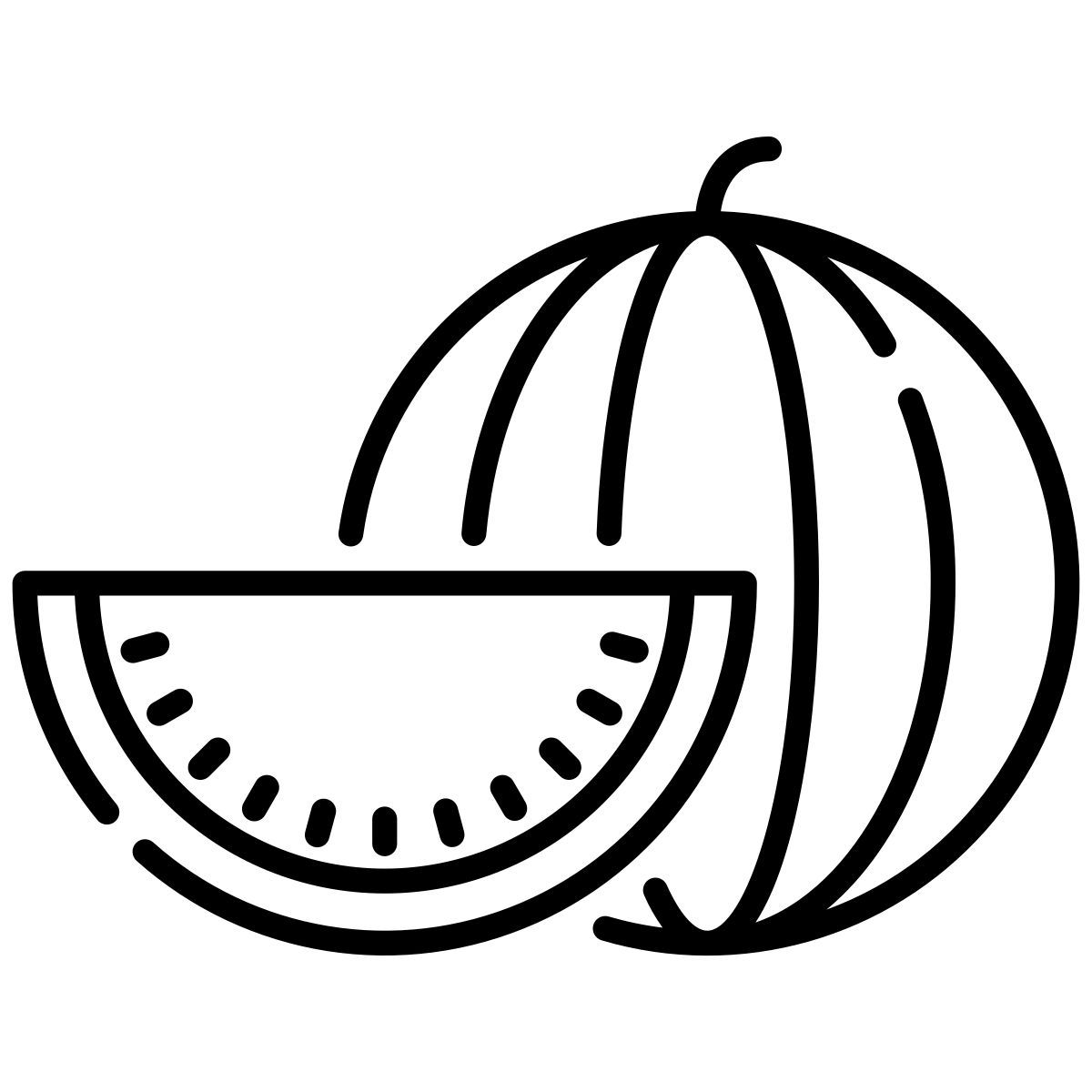 water melon icon