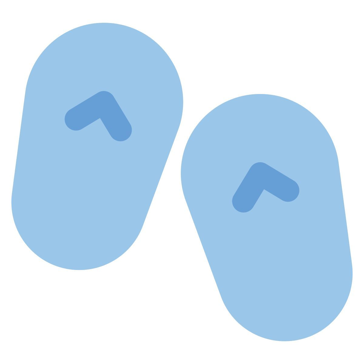 flip flops icon