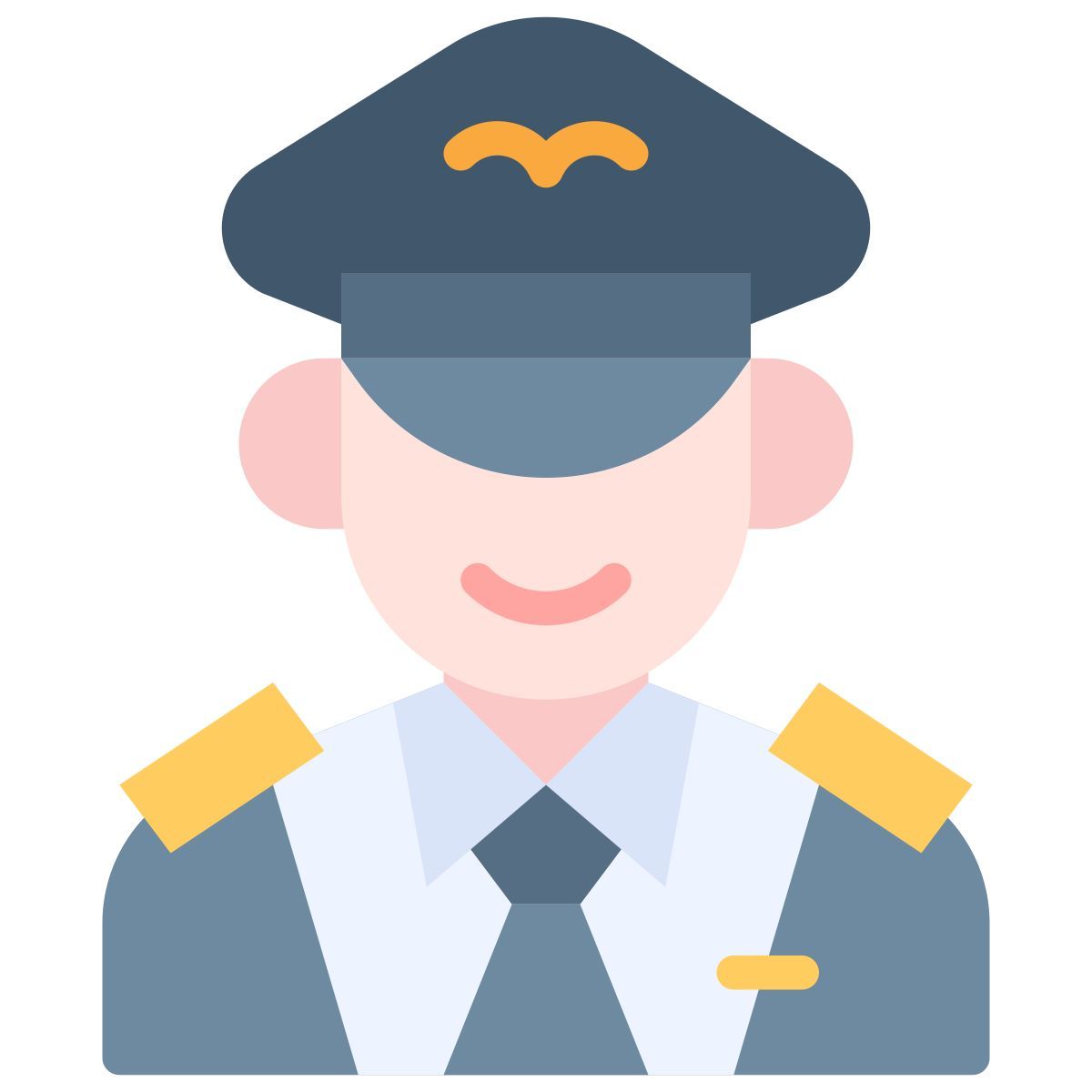 pilot icon